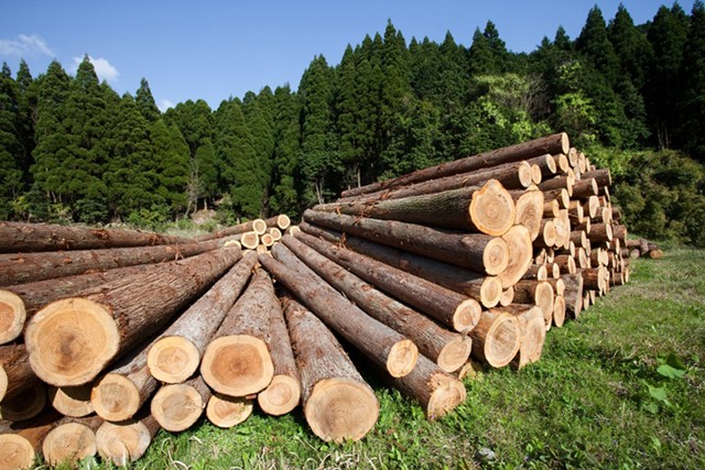 Объемы выпуска круглых лесоматериалов в 1 квартале 2019 года.